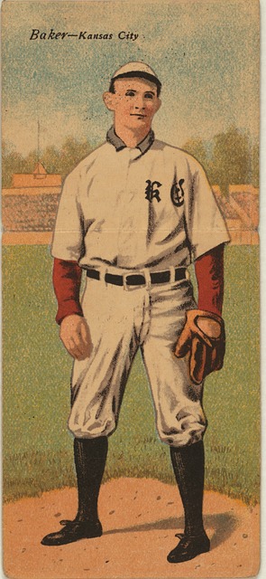 違者將失去 違者將失去