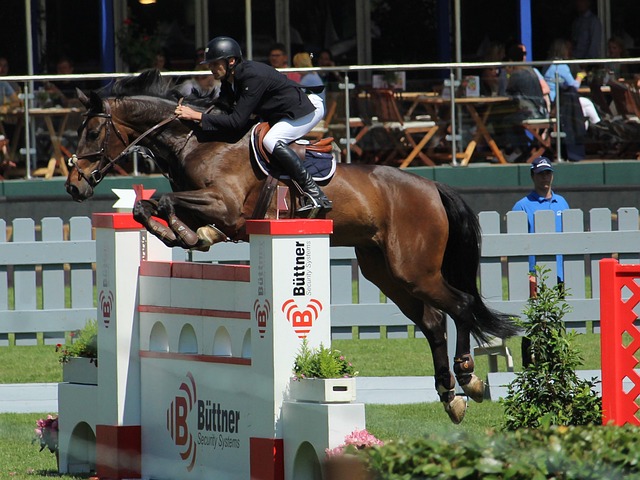 欧元之间 欧元之间