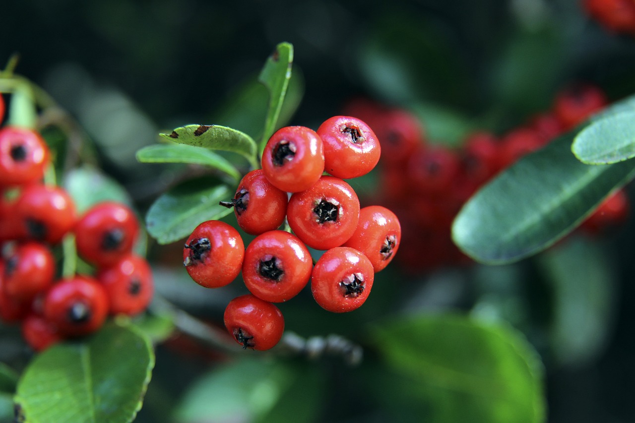 极具策略性 极具策略性