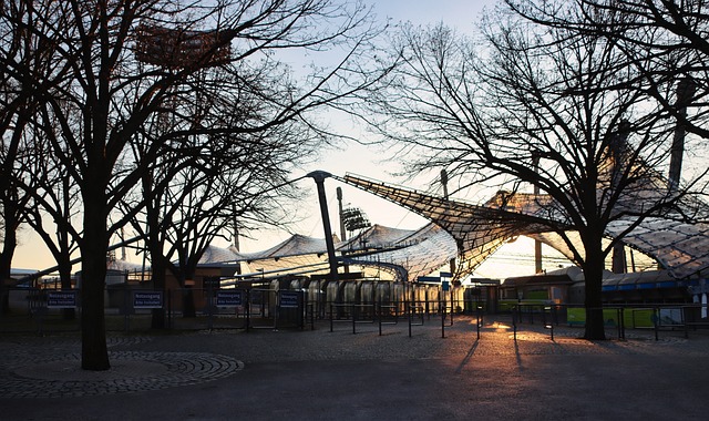 的排球文化 的排球文化