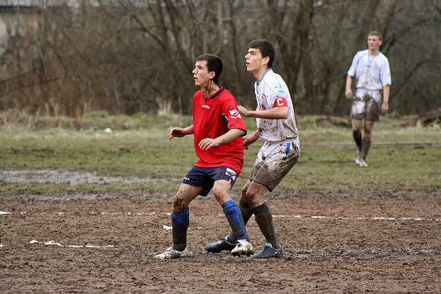 篮球明星与 篮球明星与