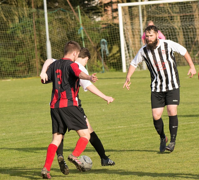 提供坚实内 提供坚实内